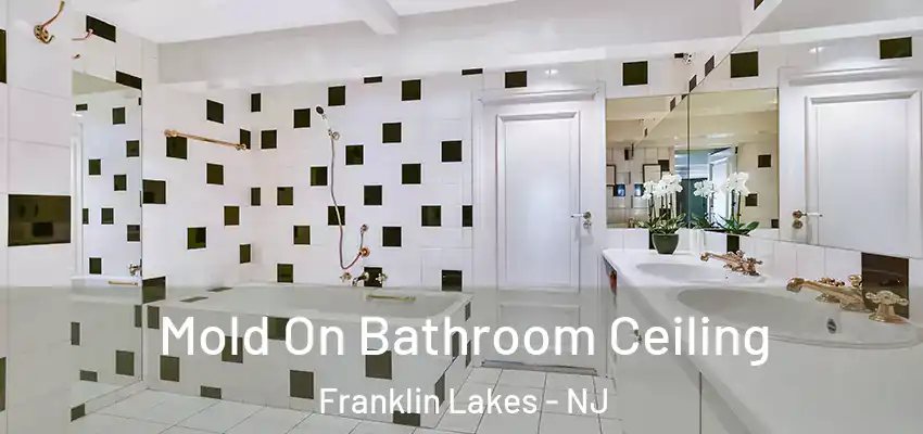 Mold On Bathroom Ceiling Franklin Lakes - NJ