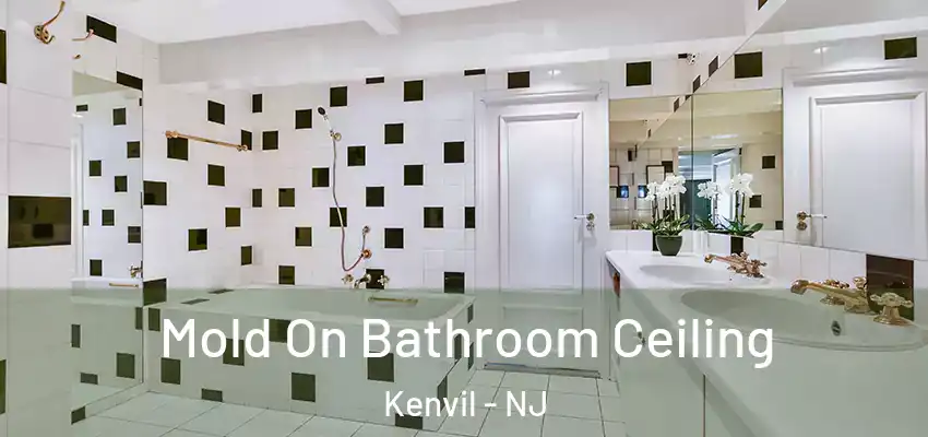  Mold On Bathroom Ceiling Kenvil - NJ