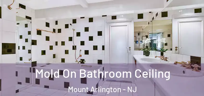  Mold On Bathroom Ceiling Mount Arlington - NJ