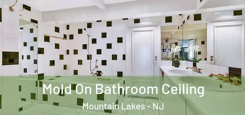 Mold On Bathroom Ceiling Mountain Lakes - NJ