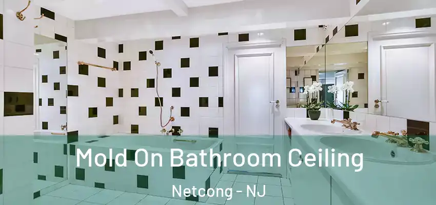 Mold On Bathroom Ceiling Netcong - NJ