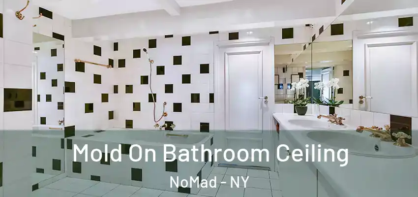  Mold On Bathroom Ceiling NoMad - NY