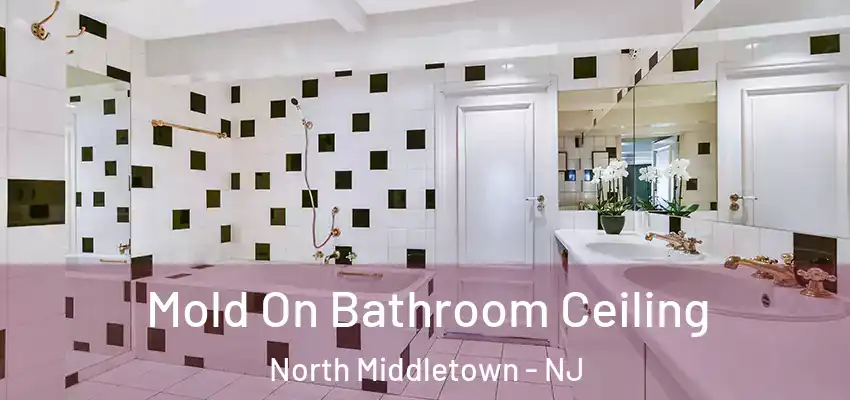  Mold On Bathroom Ceiling North Middletown - NJ