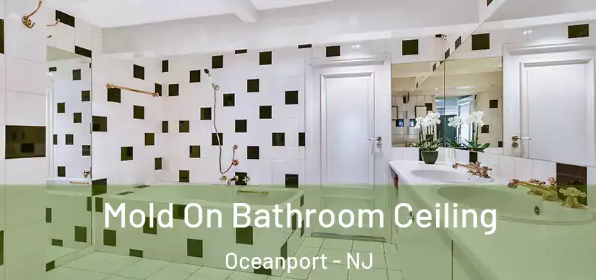  Mold On Bathroom Ceiling Oceanport - NJ