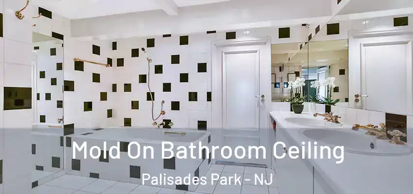 Mold On Bathroom Ceiling Palisades Park - NJ