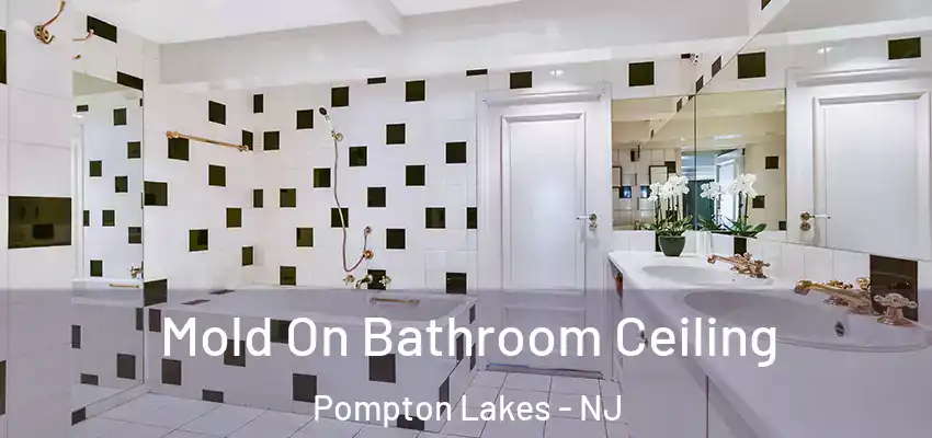  Mold On Bathroom Ceiling Pompton Lakes - NJ