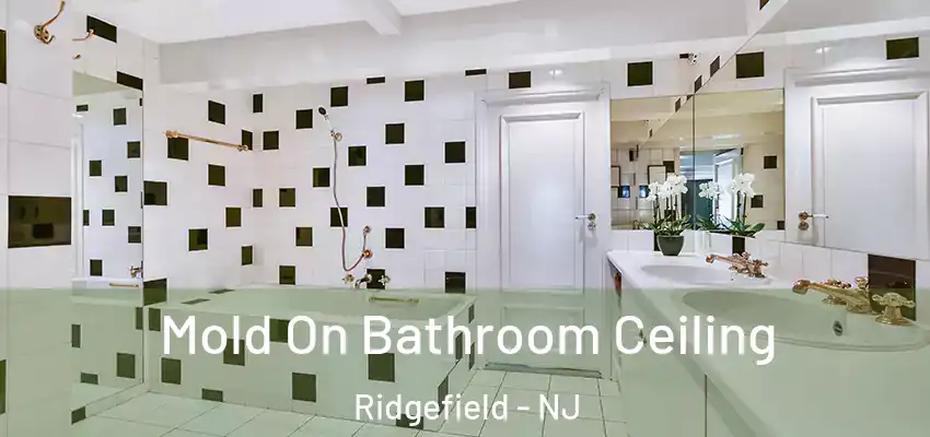 Mold On Bathroom Ceiling Ridgefield - NJ
