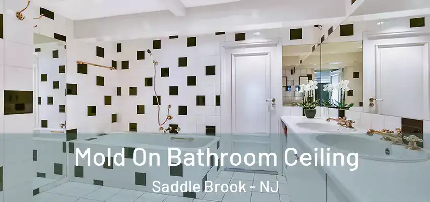  Mold On Bathroom Ceiling Saddle Brook - NJ