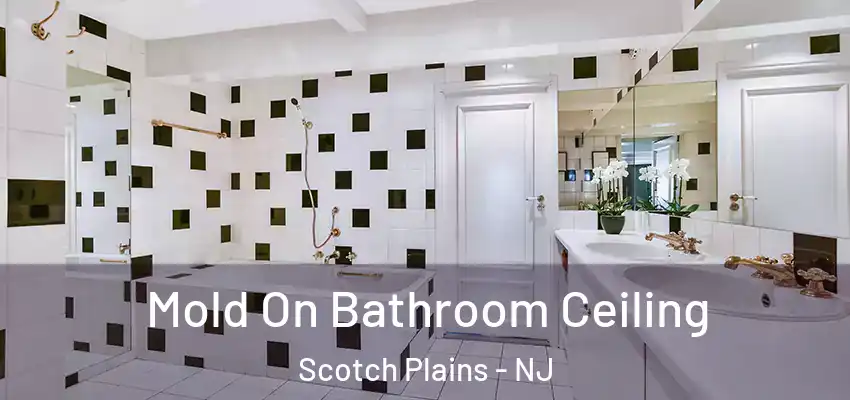  Mold On Bathroom Ceiling Scotch Plains - NJ