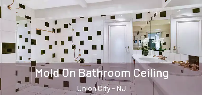 Mold On Bathroom Ceiling Union City - NJ