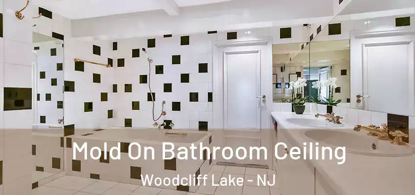 Mold On Bathroom Ceiling Woodcliff Lake - NJ