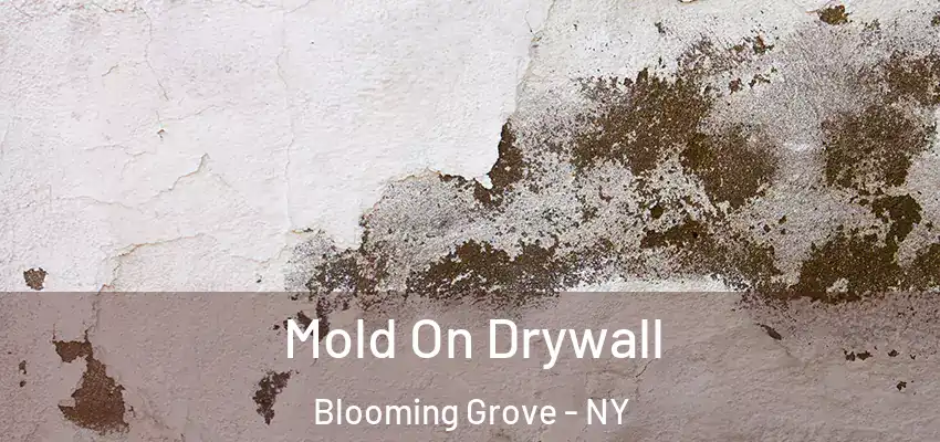 Mold On Drywall Blooming Grove - NY