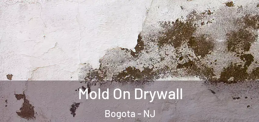 Mold On Drywall Bogota - NJ