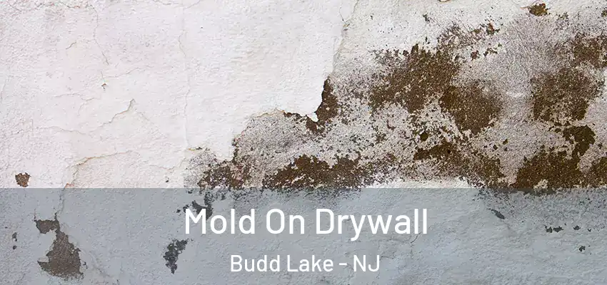  Mold On Drywall Budd Lake - NJ