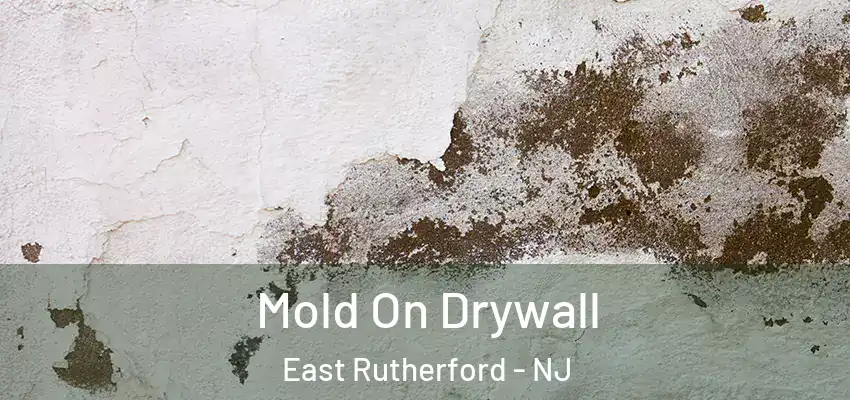 Mold On Drywall East Rutherford - NJ
