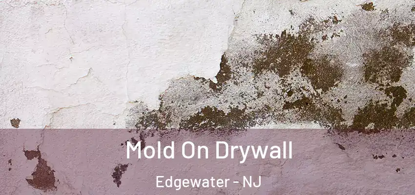 Mold On Drywall Edgewater - NJ