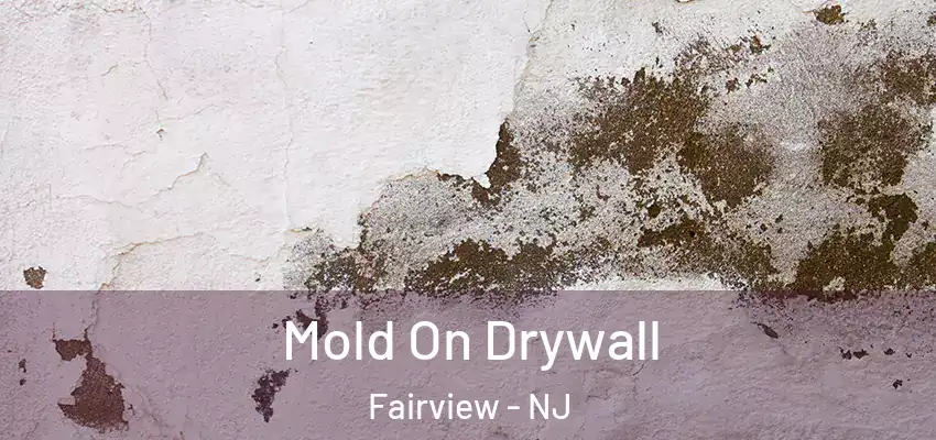 Mold On Drywall Fairview - NJ