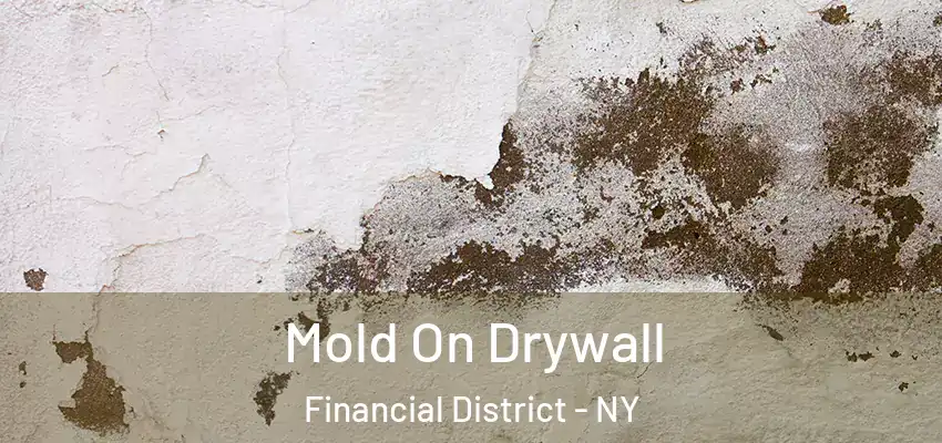 Mold On Drywall Financial District - NY