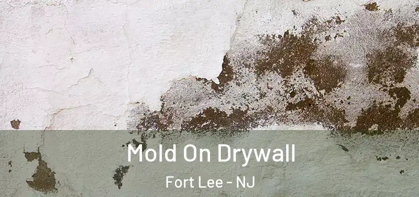 Mold On Drywall Fort Lee - NJ