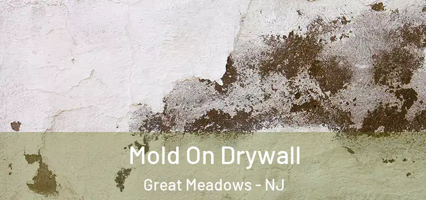  Mold On Drywall Great Meadows - NJ
