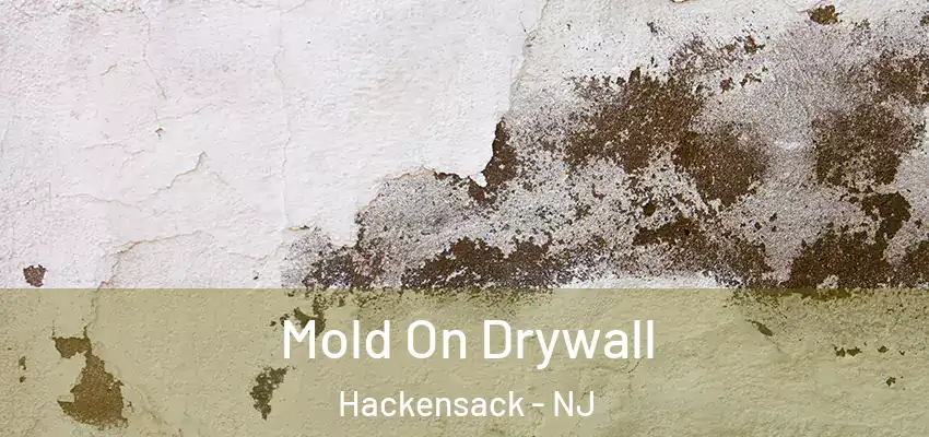 Mold On Drywall Hackensack - NJ