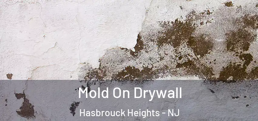 Mold On Drywall Hasbrouck Heights - NJ