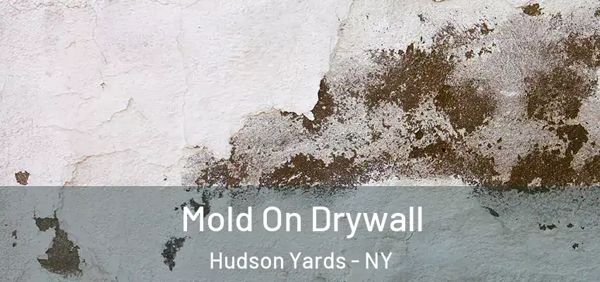  Mold On Drywall Hudson Yards - NY