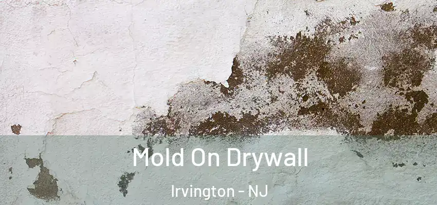  Mold On Drywall Irvington - NJ