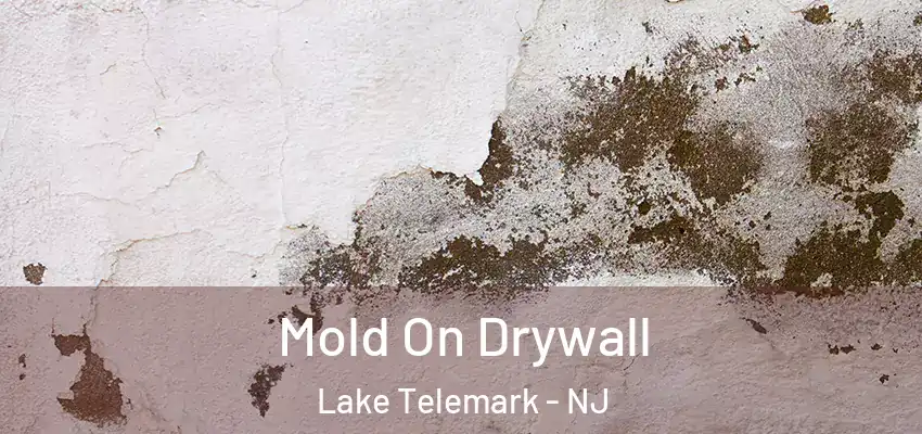 Mold On Drywall Lake Telemark - NJ
