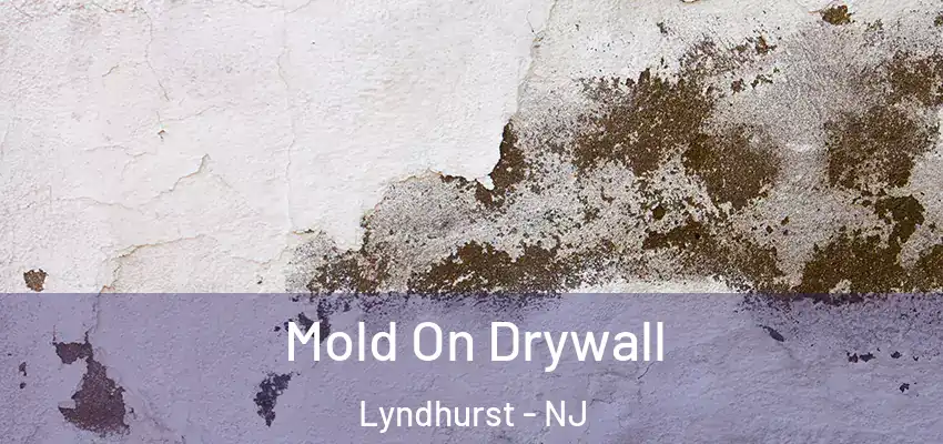 Mold On Drywall Lyndhurst - NJ