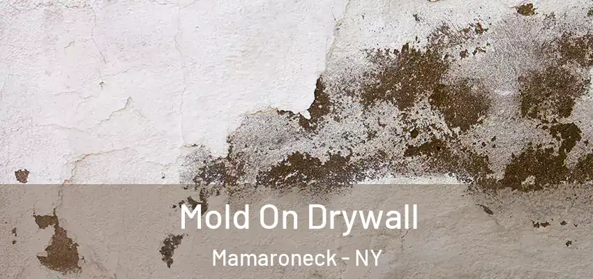 Mold On Drywall Mamaroneck - NY