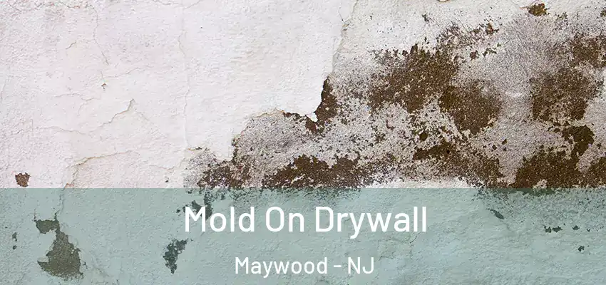  Mold On Drywall Maywood - NJ