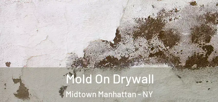 Mold On Drywall Midtown Manhattan - NY