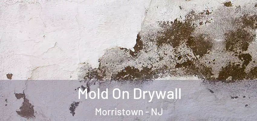 Mold On Drywall Morristown - NJ