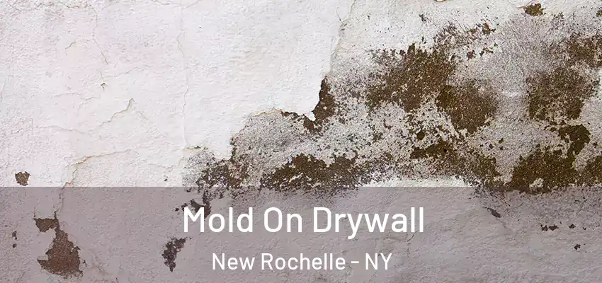 Mold On Drywall New Rochelle - NY