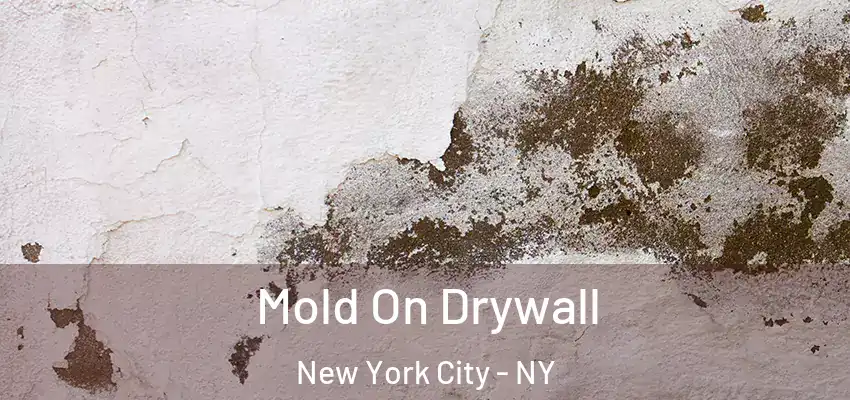 Mold On Drywall New York City - NY