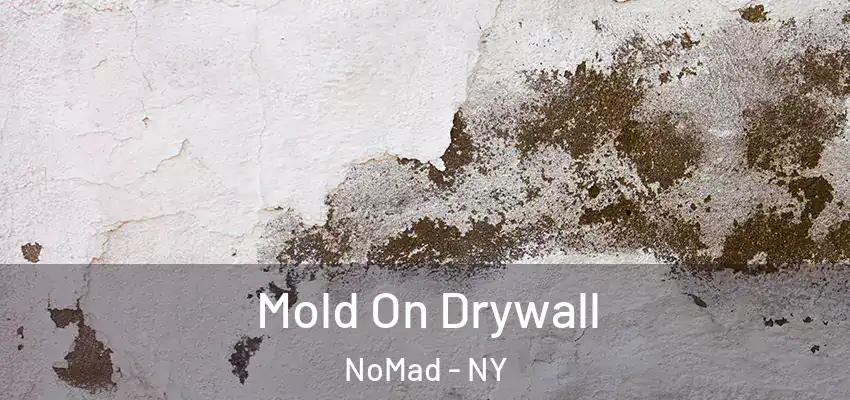  Mold On Drywall NoMad - NY