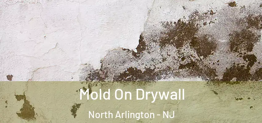 Mold On Drywall North Arlington - NJ