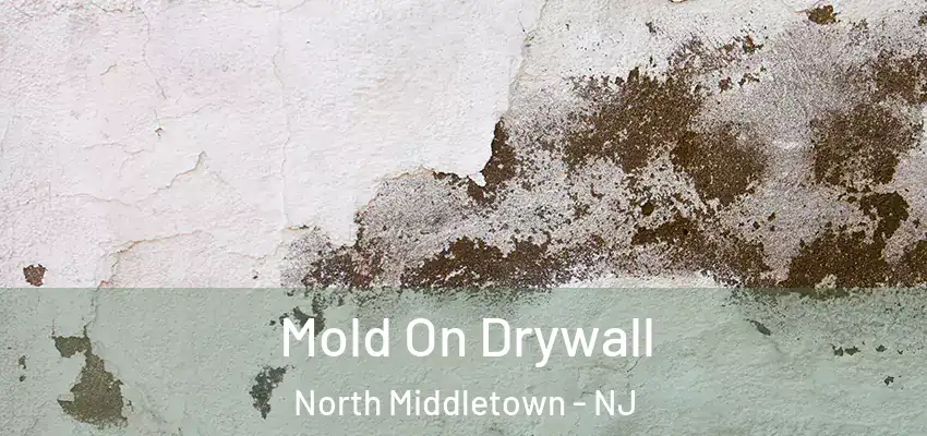  Mold On Drywall North Middletown - NJ