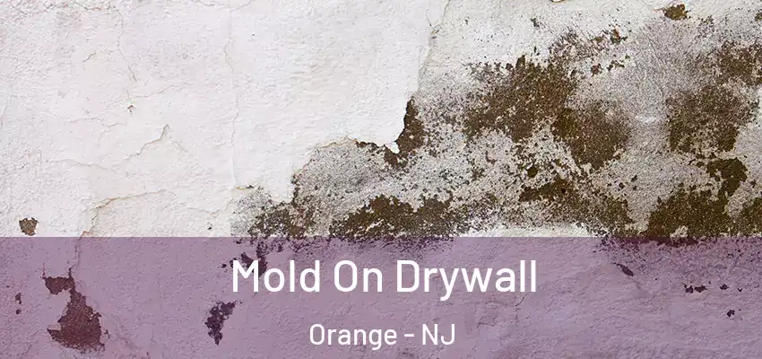  Mold On Drywall Orange - NJ