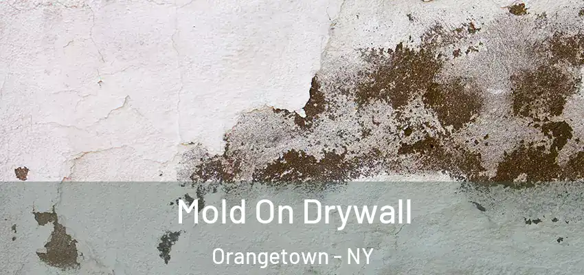  Mold On Drywall Orangetown - NY