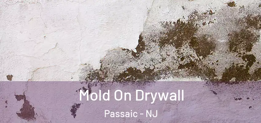  Mold On Drywall Passaic - NJ