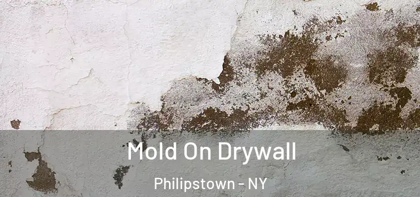 Mold On Drywall Philipstown - NY
