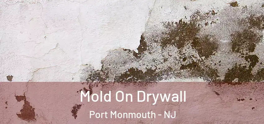 Mold On Drywall Port Monmouth - NJ