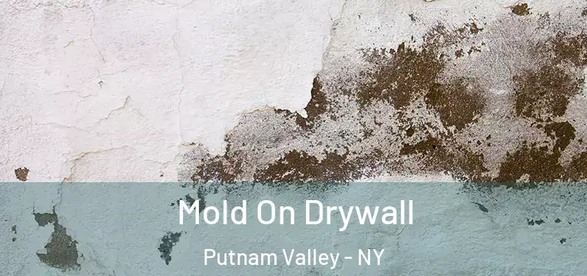 Mold On Drywall Putnam Valley - NY