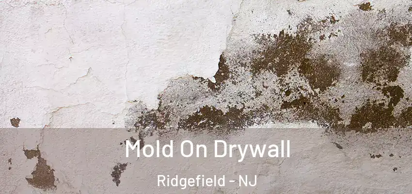 Mold On Drywall Ridgefield - NJ