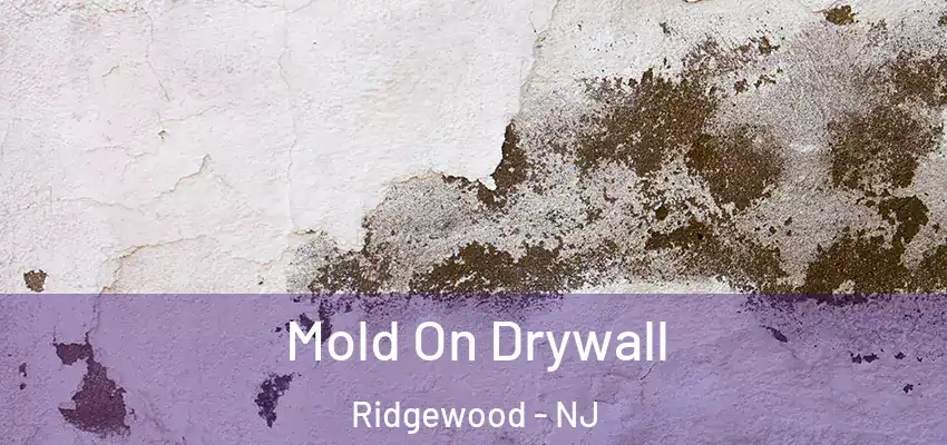 Mold On Drywall Ridgewood - NJ