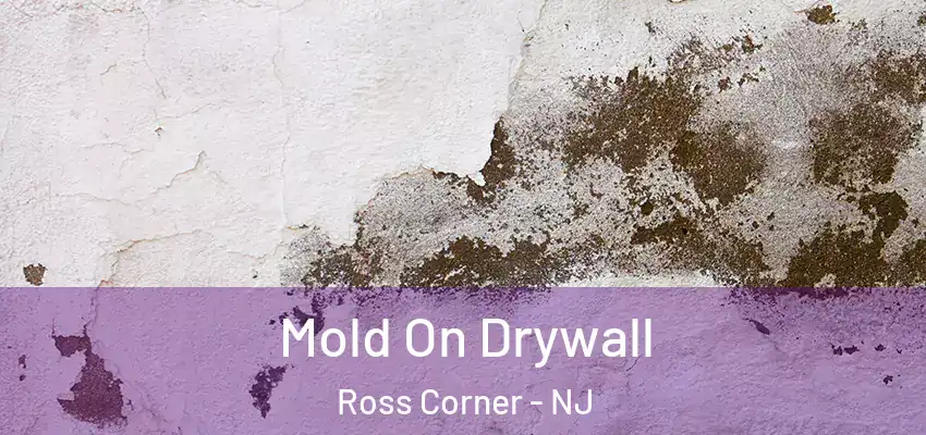  Mold On Drywall Ross Corner - NJ