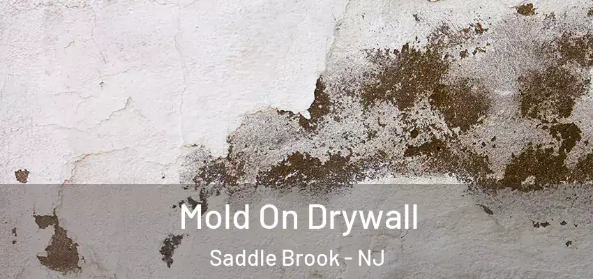 Mold On Drywall Saddle Brook - NJ