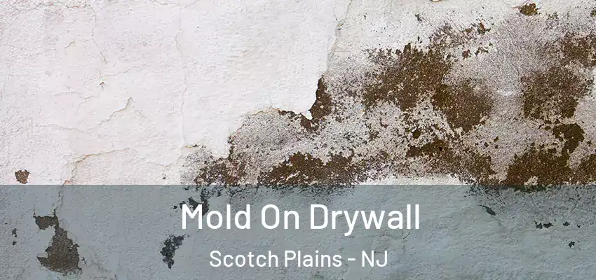  Mold On Drywall Scotch Plains - NJ